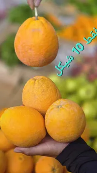 برتقال طازج - سوق غزة