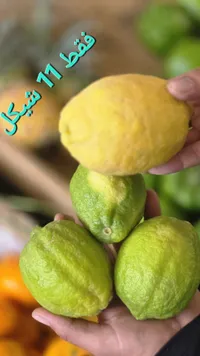ليمون طازج - سوق غزة