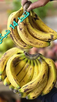 موز طازج - سوق غزة