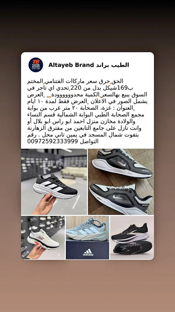 حذاء رياضي شبابي متنوع الماركات - الطيب براند - أحذية - سوق غزة