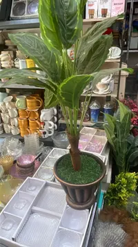 نبتة زينة صناعية في أصيص ديكور