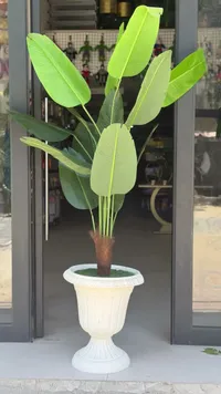 شجرة موز صناعية في حوض كلاسيكي