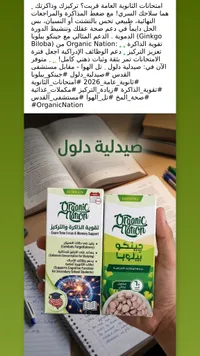 مكمل جينكو بيلوبا لتقوية الذاكرة والتركيز - أورجانيك نيشن (Organic Nation)