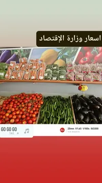 تشكيلة خضروات طازجة متنوعة - سوق غزة