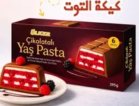 كيكة التوت بالشوكولاتة - أولكر (Ulker)