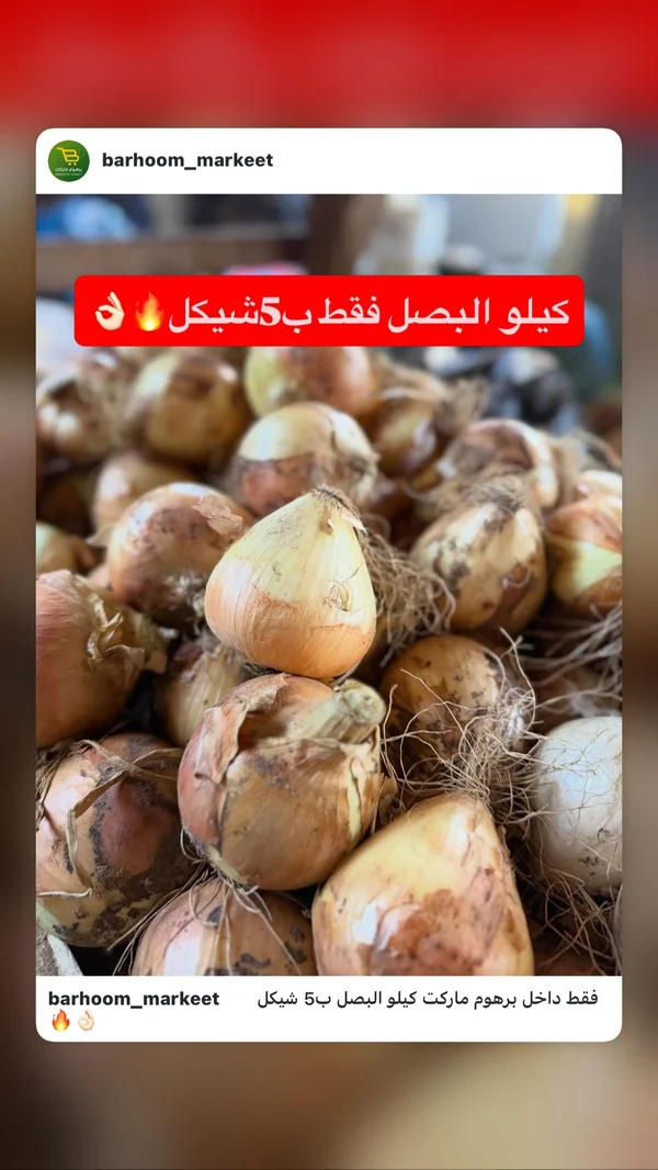 بصل طازج - مواد غذائية وبقالة - سوق غزة