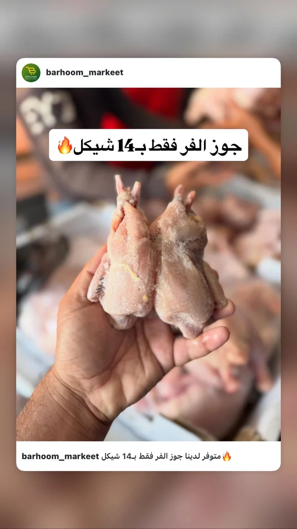 جوز طيور السمان (الفر) - مواد غذائية وبقالة - سوق غزة