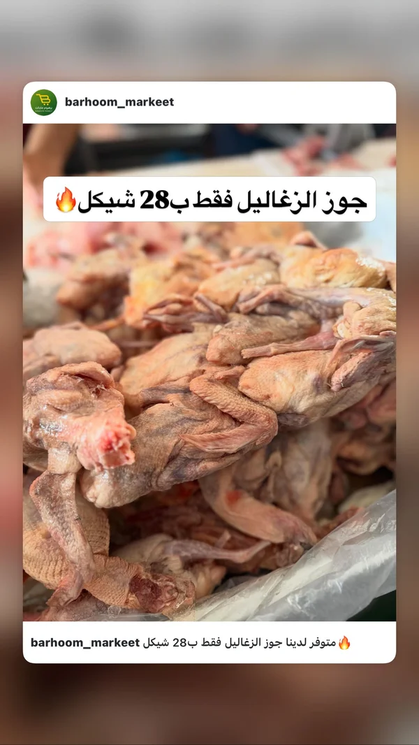 جوز زغاليل طازج - مواد غذائية وبقالة - سوق غزة