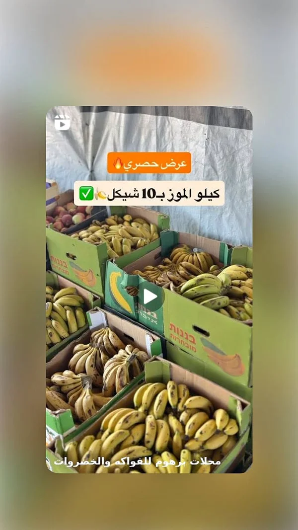 موز طازج - محلات برهوم - مواد غذائية وبقالة - سوق غزة