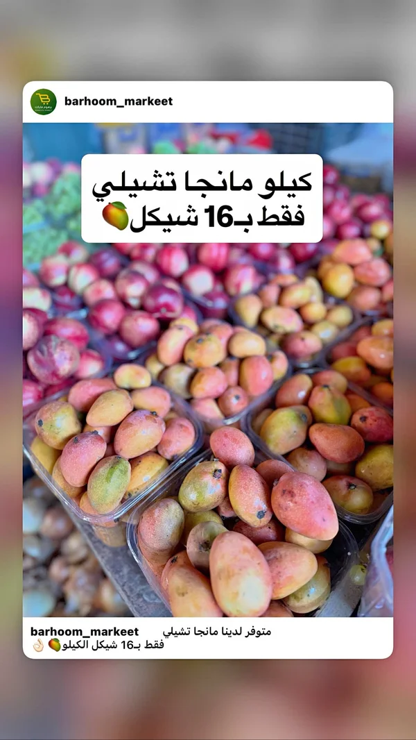 مانجو تشيلي - مواد غذائية وبقالة - سوق غزة