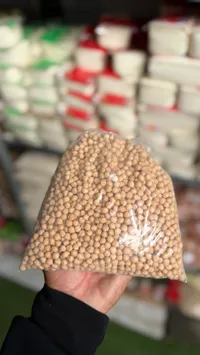 حمص مجروش