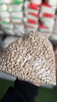 حمص أبيض