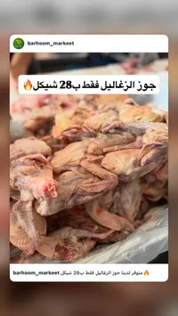 جوز زغاليل طازج - سوق غزة