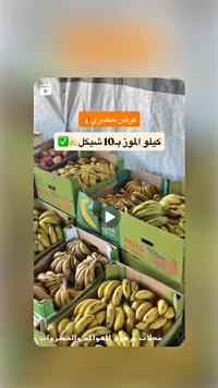 موز طازج - محلات برهوم - سوق غزة