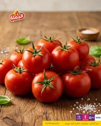 طماطم طازة