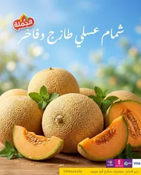 شمام عسلي طازج وفاخر