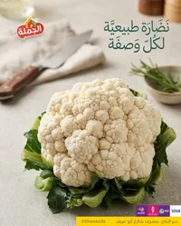 القرنبيط الطازج