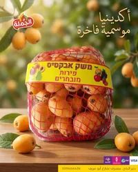 مشمش أكديتيا موسمية فاخرة