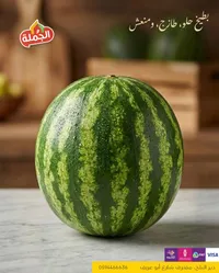 البطيخ الأخضر