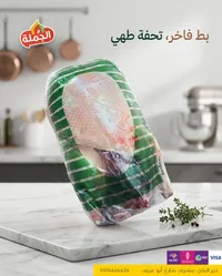دجاج طازج - الحملة