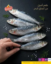 سمك السردين - الخمسة