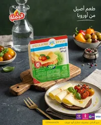 جبنة هولندي ستايل - دولة