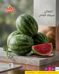 البطيخ - الجملة