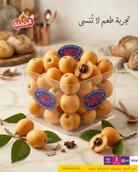فواكه/ اسكدني