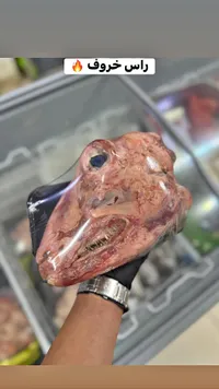 رأس خروف