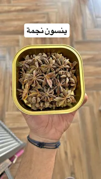يانسون نجمة