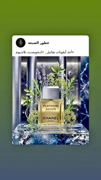 بلاتينيوم إيجويست - شانيل (Chanel)