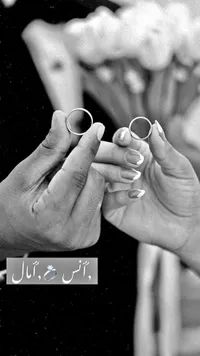 خدمات تصوير حفلات الخطوبة والزفاف - أنس وآمال - سوق غزة