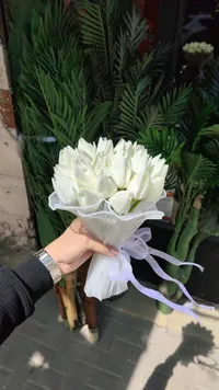 باقة زهور التوليب الأبيض