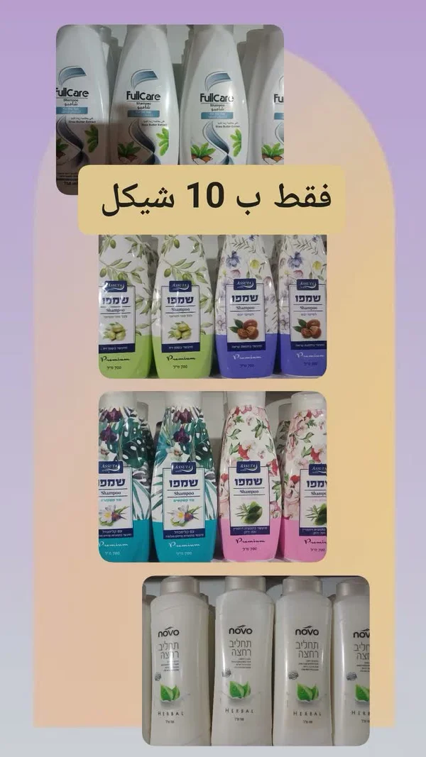 شامبو متنوع - أسوتا (Assuta) - مواد غذائية وبقالة - سوق غزة