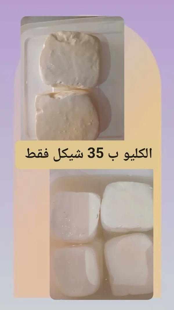 جبنة بيضاء بلدية - مواد غذائية وبقالة - سوق غزة