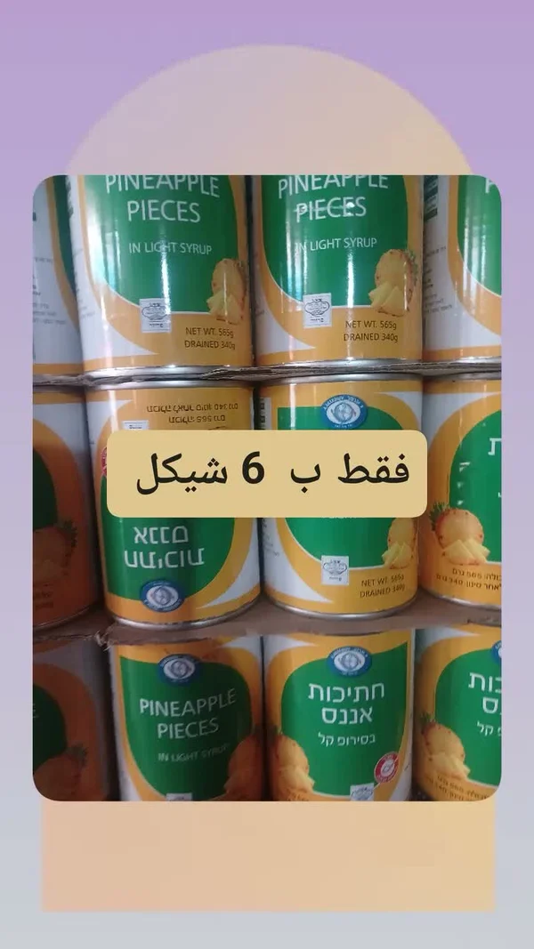 قطع أناناس في شراب خفيف - مواد غذائية وبقالة - سوق غزة