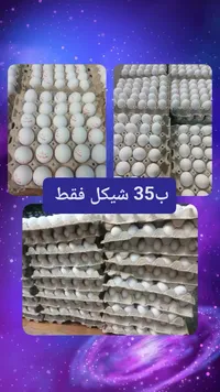 بيض طازج - كرتونة كاملة - سوق غزة