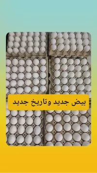 بيض طازج
