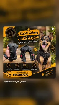 صدرية كلاب - عيادة الدكتور عبدالله البيطرية