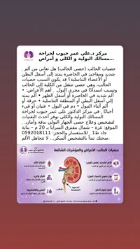 دليل معلومات حصوات الحالب - مركز د. علي عمر حبوب لجراحة المسالك البولية