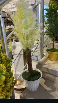 نبات صناعي زينة - أشبيليا بيضاء