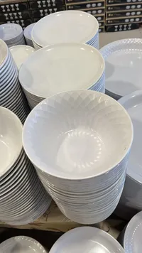 أطباق بلاستيكية بيضاء