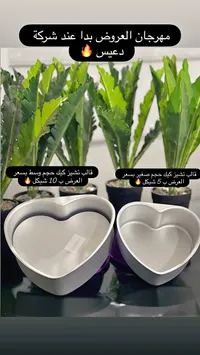 قوالب تشيز كيك على شكل قلب