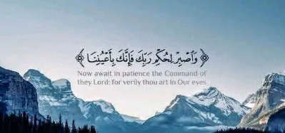 شعار وديع الحايك