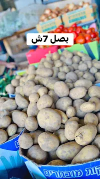 بطاطس طازجة - سوق غزة