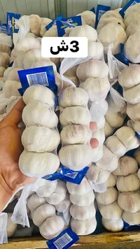 ثوم طازج مغلف - سوق غزة