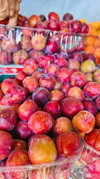 برقوق أحمر طازج