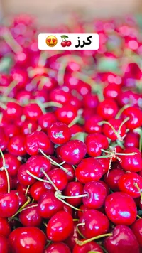 كرز طازج