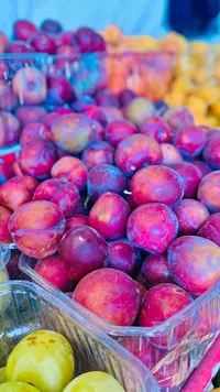 برقوق أحمر طازج