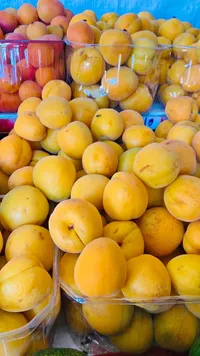 مشمش طازج